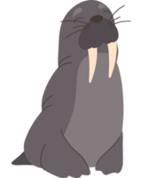 maschio mare Leone selvaggio animale png