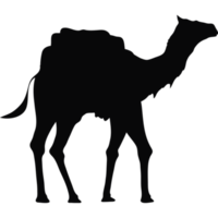 camel walking silhouette png