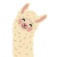 lama alpaca cabeza con cara vector