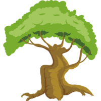 forêt d'arbres verts png