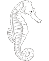 seahorse sealife sketch style png