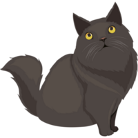 süße schwarze kleine Katze png