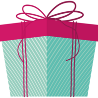 gift with fucshia top png