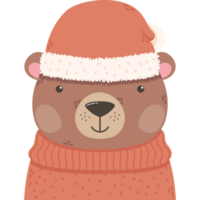 carino orso inverno animale png