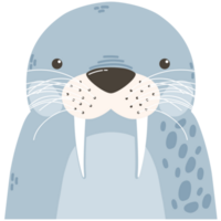 schattig zeehond dier png