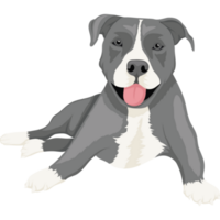 american staffordshire dog png