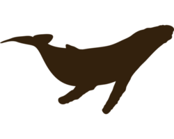 whale wild animal silhouette png