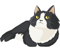 american curl little cat png