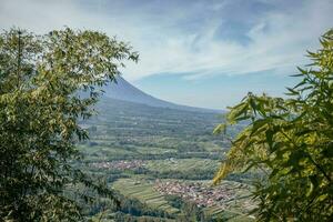 Landscape mountain when morning time sunlight summer vibes. The photo is suitable to use for adventure content media, nature poster and forest background.