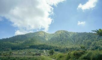 paisaje montaña cuando Mañana hora luz de sol verano vibras. el foto es adecuado a utilizar para aventuras contenido medios de comunicación, naturaleza póster y bosque antecedentes.