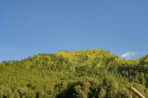 paisaje montaña cuando Mañana hora luz de sol verano vibras. el foto es adecuado a utilizar para aventuras contenido medios de comunicación, naturaleza póster y bosque antecedentes.