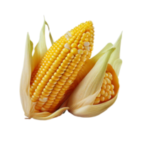 corn isolated on transparent background. png