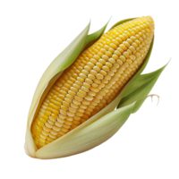 corn isolated on transparent background. png