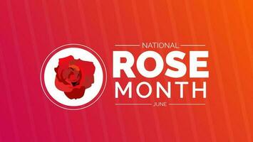 National Rose Month background or banner design template celebrated in june. vector illustration.