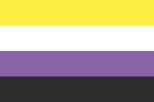 Non-Binary pride flag, LGBTQ symbol. vector