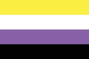 Non-Binary pride flag, LGBTQ symbol. vector