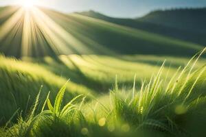 View of Grass field in sunny morning. photo