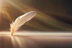 Fluffy white isolated curled feather. photo