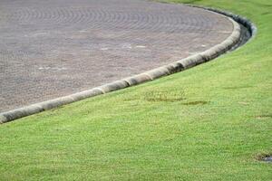 Stone path curving watercourse in garden. Landscaping in the garden. photo