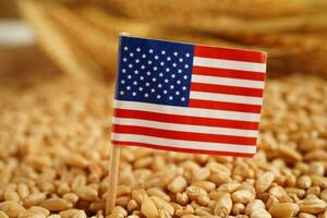 Estados Unidos America bandera en grano trigo, comercio exportar y economía concepto. foto