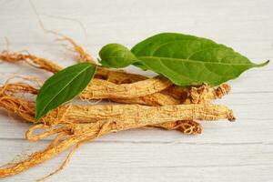 raíces de ginseng y hoja verde, comida saludable. foto