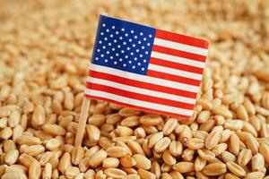 Estados Unidos America bandera en grano trigo, comercio exportar y economía concepto. foto