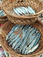 Fresh fishes in a market photo