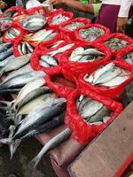 Jakarta city fish market - vendors selling fresh tasty fish photo