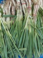 Fresh juicy raw leeks as a background, closeup. Natural background photo