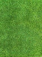 Green grass texture background grass garden concept used for making green background football pitch, Grass Golf, green lawn pattern textured background. photo