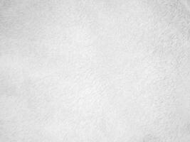 White clean wool texture background. light natural sheep wool. white seamless cotton. texture of fluffy fur for designers. close-up fragment white wool carpet. photo