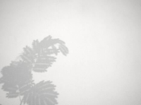 Seamless texture of white cement wall a rough surface and leaf shadow, with space for text, for a background photo