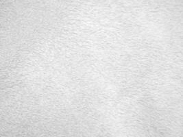 White clean wool texture background. light natural sheep wool. white seamless cotton. texture of fluffy fur for designers. close-up fragment white wool carpet. photo