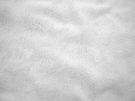 White clean wool texture background. light natural sheep wool. white seamless cotton. texture of fluffy fur for designers. close-up fragment white wool carpet. photo