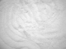 White clean wool texture background. light natural sheep wool. white seamless cotton. texture of fluffy fur for designers. close-up fragment white wool carpet.. photo