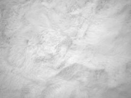 White clean wool texture background. light natural sheep wool. white seamless cotton. texture of fluffy fur for designers. close-up fragment white wool carpet.. photo