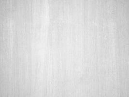 grieta de textura de madera vieja, tono gris-blanco. use esto para fondo de pantalla o imagen de fondo. hay un espacio en blanco para el texto. foto