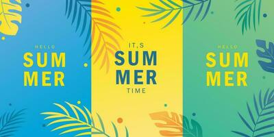 simple minimalist summer time vector design illustration background with tropical leaf theme design. for banner, poster, social media, promotion