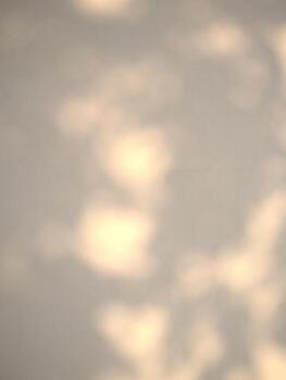 Seamless texture of white cement wall a rough surface and leaf shadow, with space for text, for a background photo