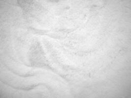 White clean wool texture background. light natural sheep wool. white seamless cotton. texture of fluffy fur for designers. close-up fragment white wool carpet.. photo