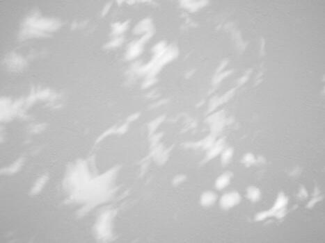 Seamless texture of white cement wall a rough surface and leaf shadow, with space for text, for a background photo