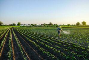 Farmer sprays a potato plantation with a sprayer. Effective crop protection of cultivated plants against insects and fungal. Chemical treatment. Mist sprayer, fungicide and pesticide. Working on field photo