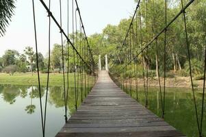 suspensión puente en naturaleza resumen antecedentes foto