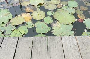 Wooden table behind blurred lotus pond on nature background photo