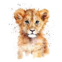 Watercolor little lion isolated on transparent background. png