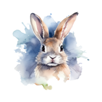 Watercolor little rabbit isolated on transparent background. png