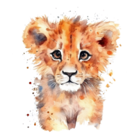 Watercolor little lion isolated on transparent background. png