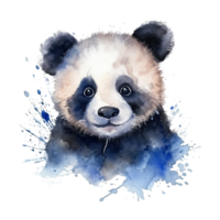 Watercolor little panda isolated on transparent background. png