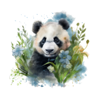 Watercolor little panda isolated on transparent background. png