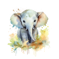 Watercolor little elephant isolated on transparent background. png